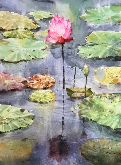 Lotus
