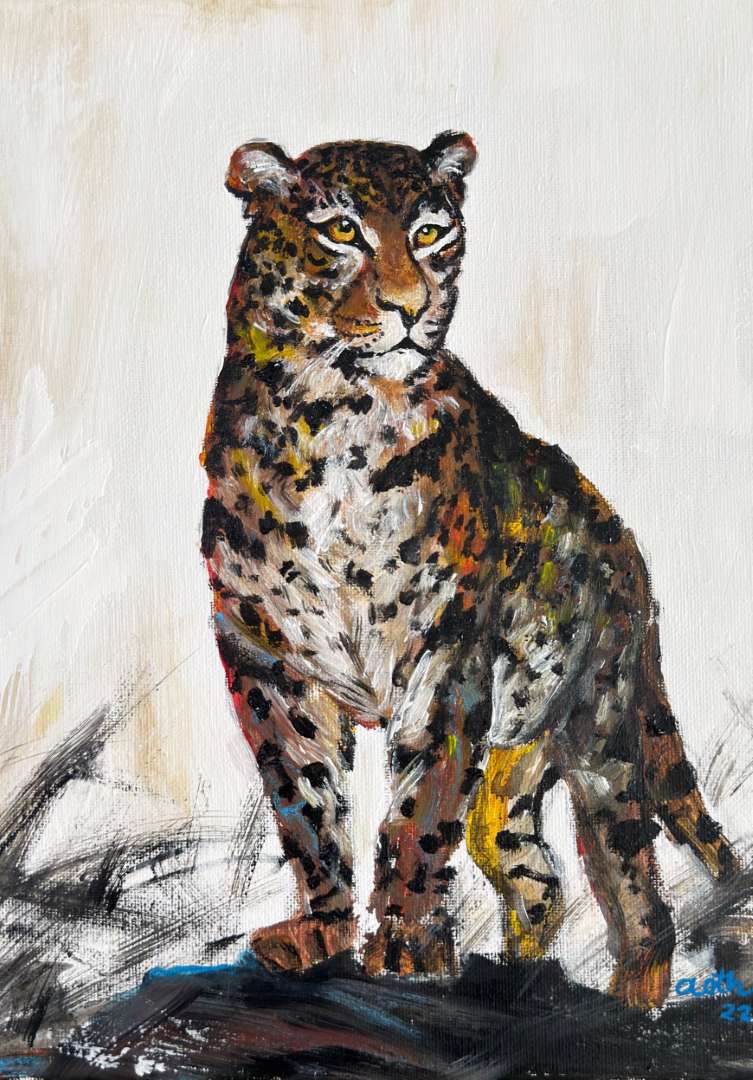 Leopard