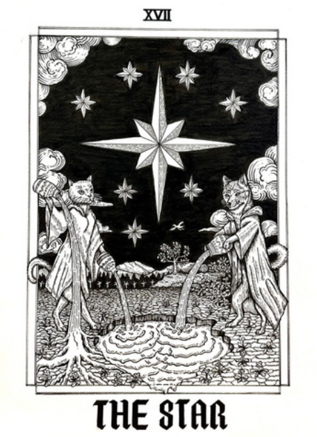 The Star 17