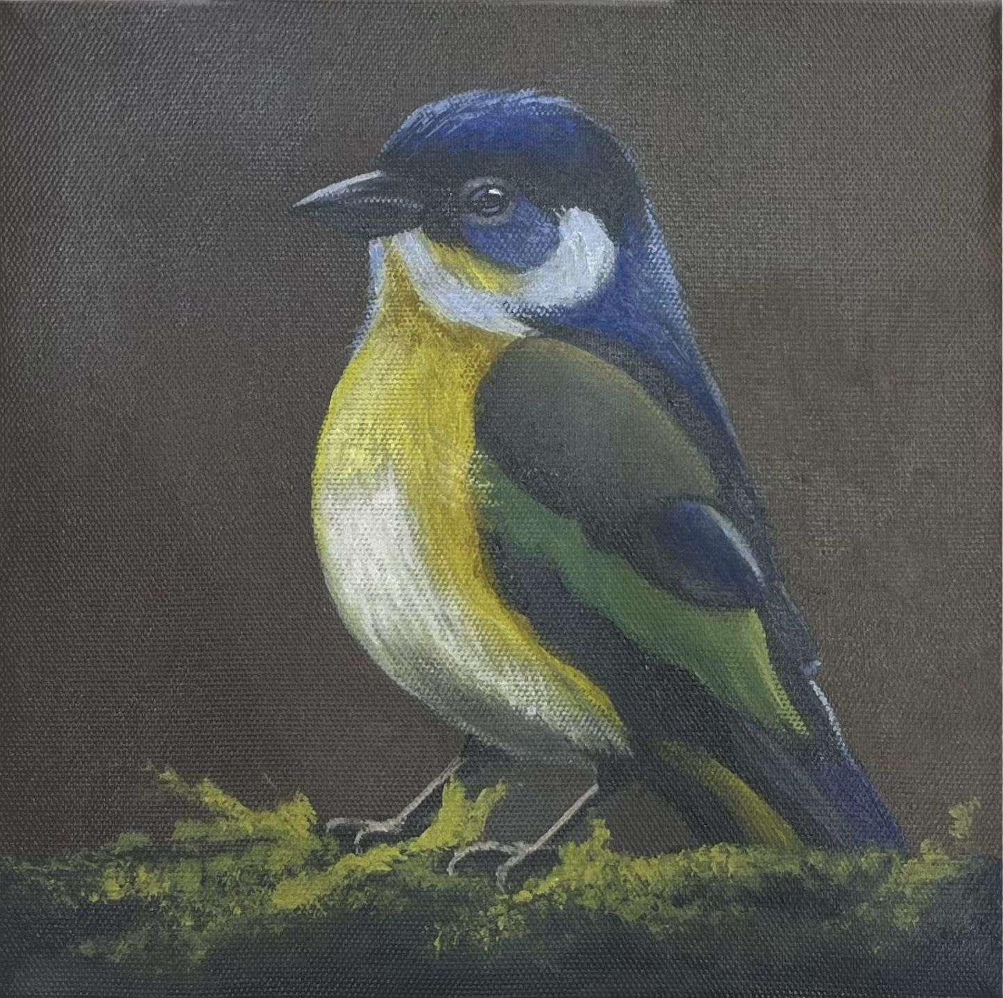Bird - 1